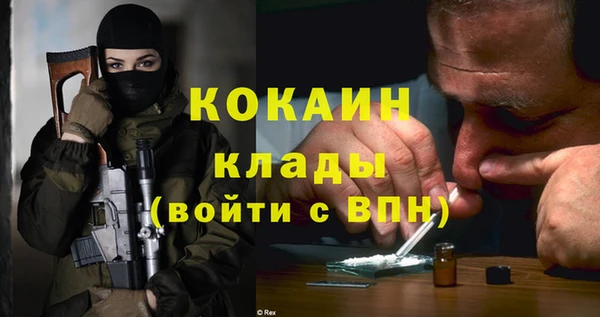 гидропоника Гусиноозёрск