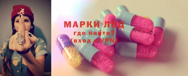 соль ск Гусев