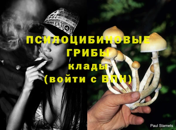 крисы Гусь-Хрустальный