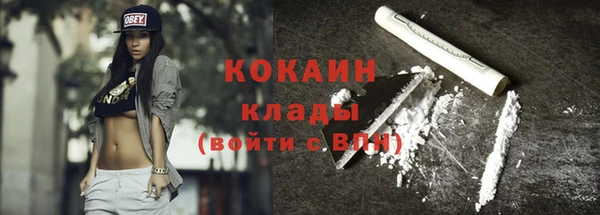 гидропоника Гусиноозёрск