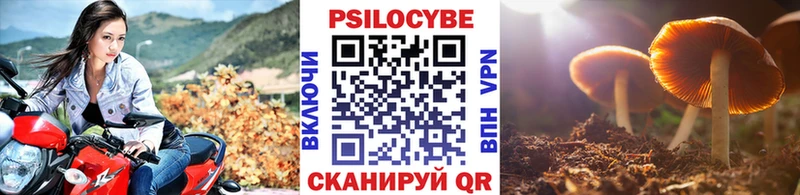 Галлюциногенные грибы прущие грибы  Купить закладки  Чапаевск 